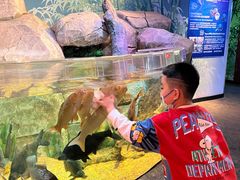 -沈阳海洋探索中心