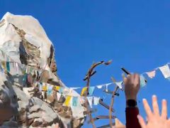 -奥兰多迪士尼动物王国乐园