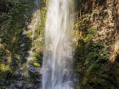 -莫里热带雨林景区