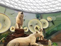 -陕西自然博物馆