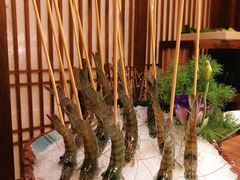-揽季锅物会.福建黄鱼.海鲜姿造(五四路店)