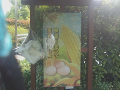 -杭州第一世界大酒店·云曼温泉