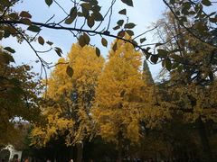 -大叔家福鼎小吃(十全街店)