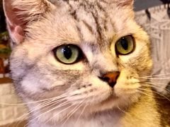-平行世界·猫咖(首经贸店)