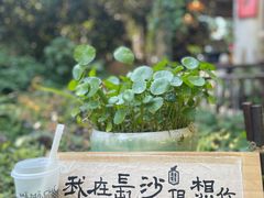 -MAMACHA妈妈茶(岳麓山店)