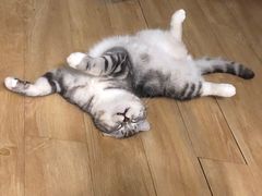 -海底捞火锅(海宁路店)