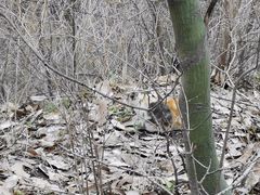 -终南山南五台景区