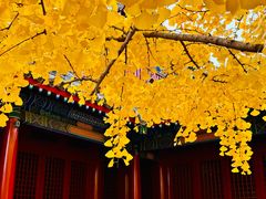 -承恩寺