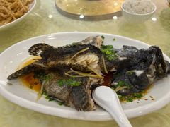 -新渔享海鲜餐厅(广海渔人码头店)