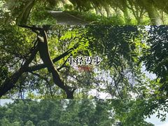 -广西壮族自治区药用植物园