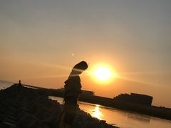 -南汇嘴观海公园