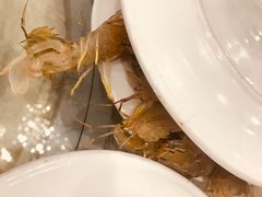 虾爬子-春华海鲜城(广场西苑店)