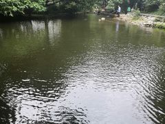 -成都市活水公园