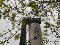 -诗经里