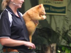 -可伦宾野生动物保护区