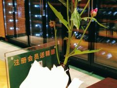 -Ambra Haus琥珀屋精酿餐厅(宝山店)