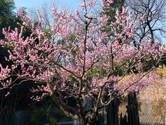 -红螺寺