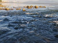 -深圳湾公园(南山区)