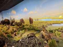 -陕西自然博物馆