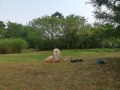 -盘龙城国家考古遗址公园