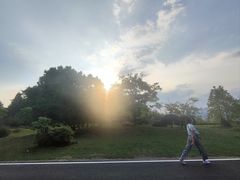 -千岛湖天屿景区