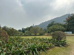 -南沙蒲洲花园