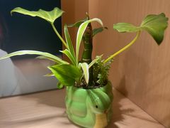 -茂昌眼镜(南京东路店)