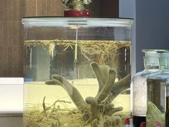 -巧婆婆特色东北菜·铁锅炖