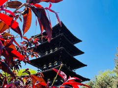 -北京世界公园