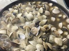 -顺德哥卜卜贝(旗舰店)