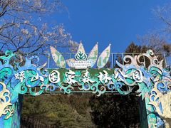 -蟒山国家森林公园-停车场