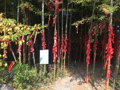 -陶祖圣境风景区