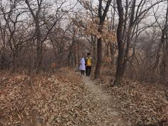 -阳台山自然风景区