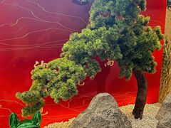 -刘胖子家常菜·蹄花焖藕(中南店)