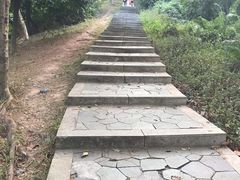 -玉树公园