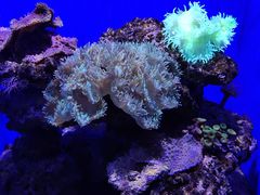 -大连圣亚海洋世界