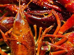 -靓靓蒸虾(中山公园店)