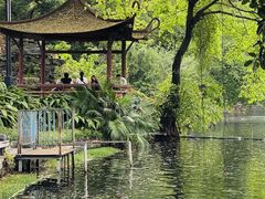 -荔湾湖公园