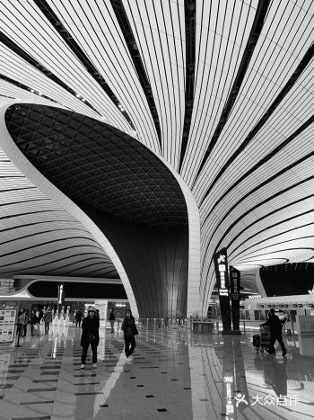 大兴机场，再见！北京！