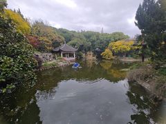 -叶家花园