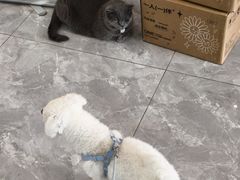 -贝康宠物医院·犬猫全科·小动物特色诊疗中心(东环路店)