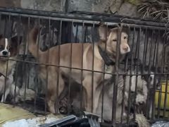 -松涛园朝鲜·海鲜·料理店(鸭绿江断桥店)