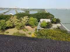 -大湾区中央湿地公园