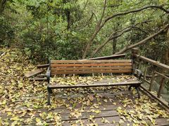 -石燕湖生态旅游景区