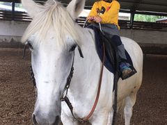 -月河湾马术俱乐部(朝阳店)