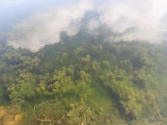 -海南热带雨林国家公园吊罗山景区