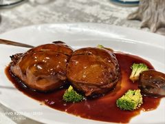 -丁老爷子苏香圆