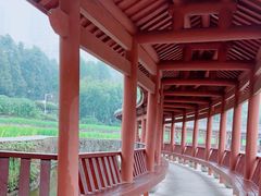 -龙头寺公园