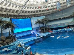 -海合安成都极地海洋公园