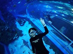 -成都浩海立方海洋公园